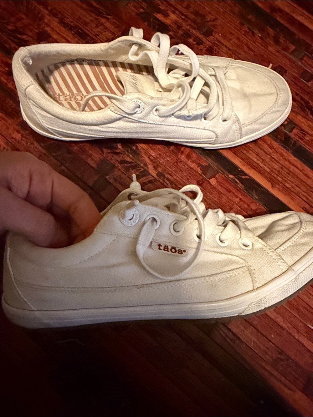 Taos Women's White Canvas Low-Top Lace-Up Sneakers